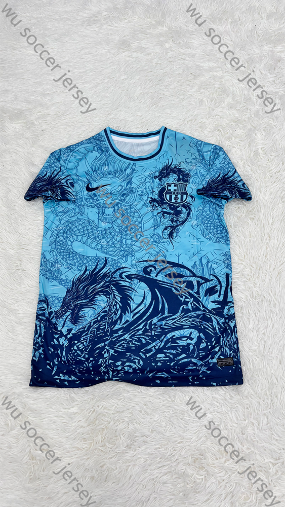 1:1 copy top quality 2025/2026 Barcelona  Fan Edition Football Jersey