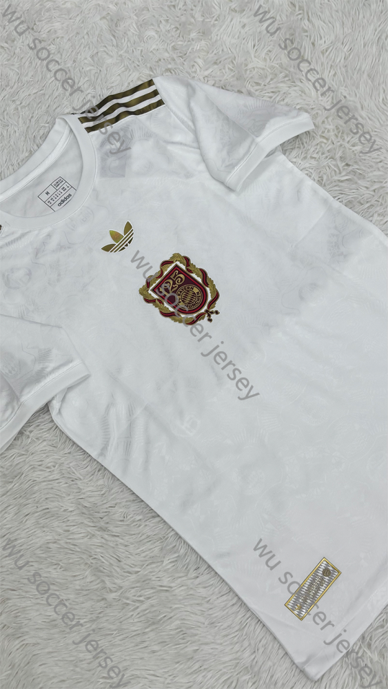 1:1 copy top quality (S-XXL) 2025/2026 Bayern Munich 125th ann player version football jersey