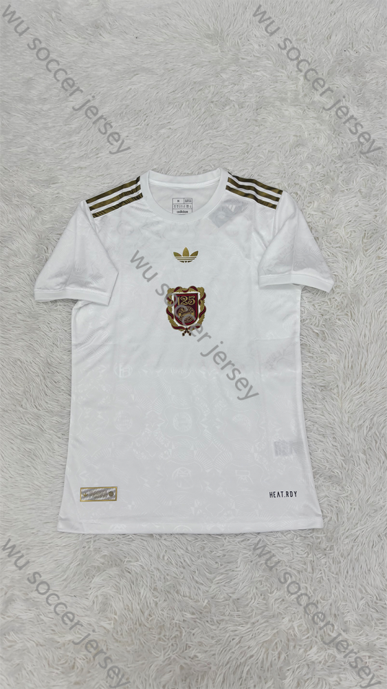 1:1 copy top quality (S-XXL) 2025/2026 Bayern Munich 125th ann player version football jersey