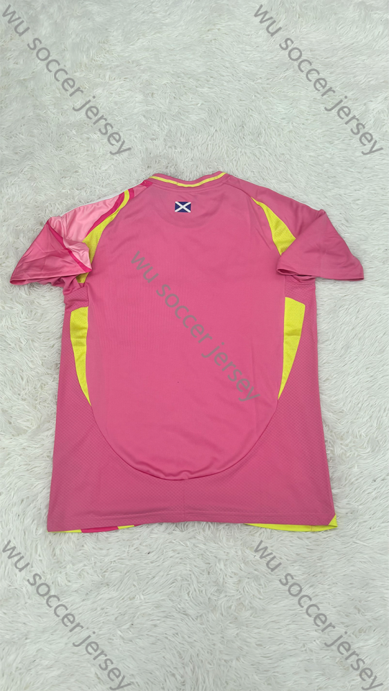 1:1 copy top quality （S-2XL）2025/2026 Scotland Away Fan Edition football jersey