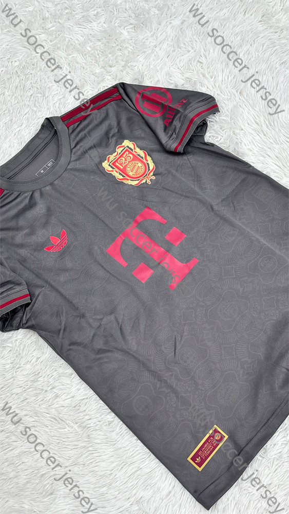 1:1 copy top quality (S-XXL) 2025/2026 Bayern Munich player version football jersey