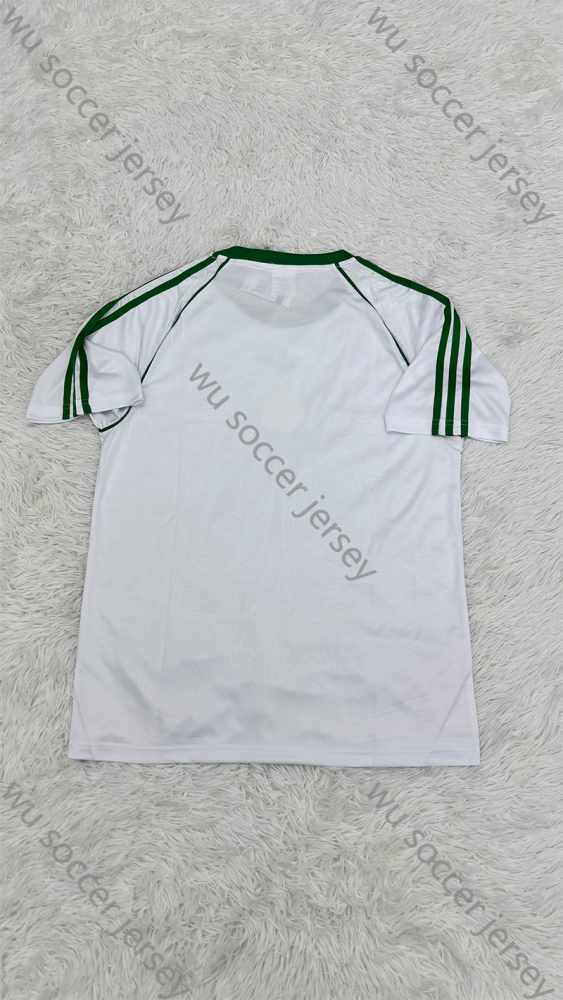 1:1 copy top quality 2025/2026 Celtics Player Edition football jersey
