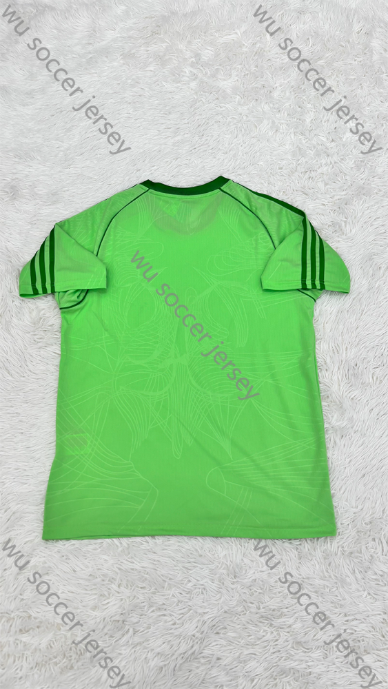 1:1 copy top quality 2025/2026 Celtics Player Edition football jersey
