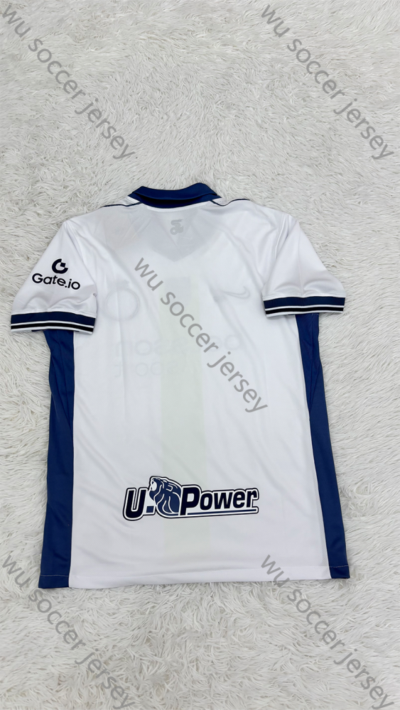 （S-XXL）1:1 Copy Top Quality 2025/2026 Inter Milan Football Jersey (Fan Edition)