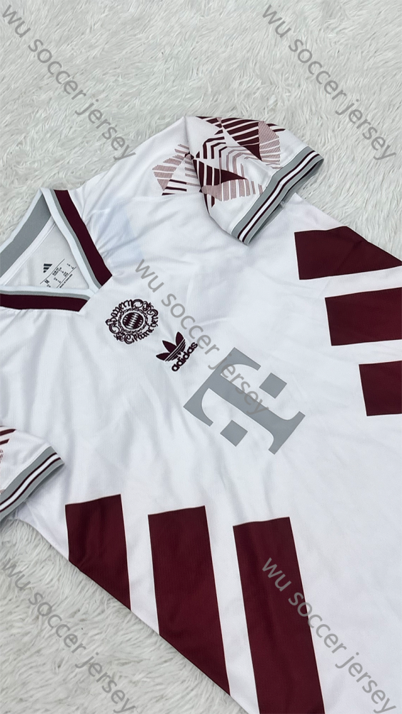 （S-XXL）1:1 Copy Top Quality 2025/2026 Bayern Munich Football Jersey (Fan Edition)