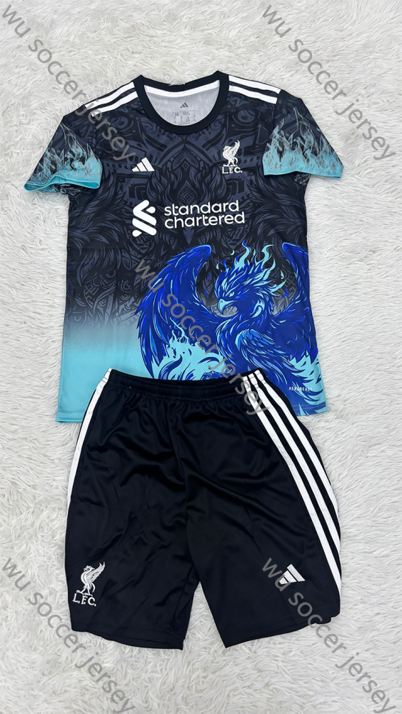 （16-28）1:1 Copy Top Quality 2025/2026 Liverpool Football Jersey (Kids)