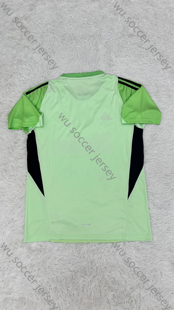 （S-4XL）1:1 Copy Top Quality 2024/2025 Newcastle United goalkeeper Football Jersey （Fan Edition）