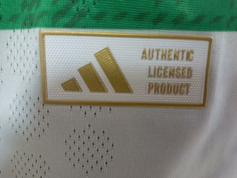 （S-XXL）1:1 Copy Top Quality 2025/2026 Celtic Home Football Jersey（ Player Edition）