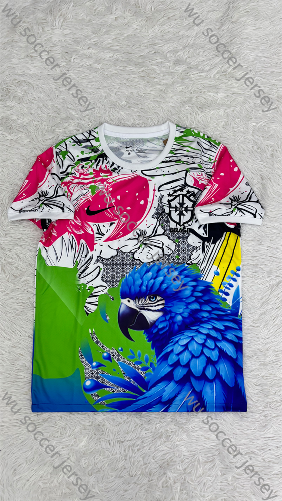 （S-4XL）1:1 Copy Top Quality 2025/2026 Brazil  Special Edition football jersey （ Fan Edition）