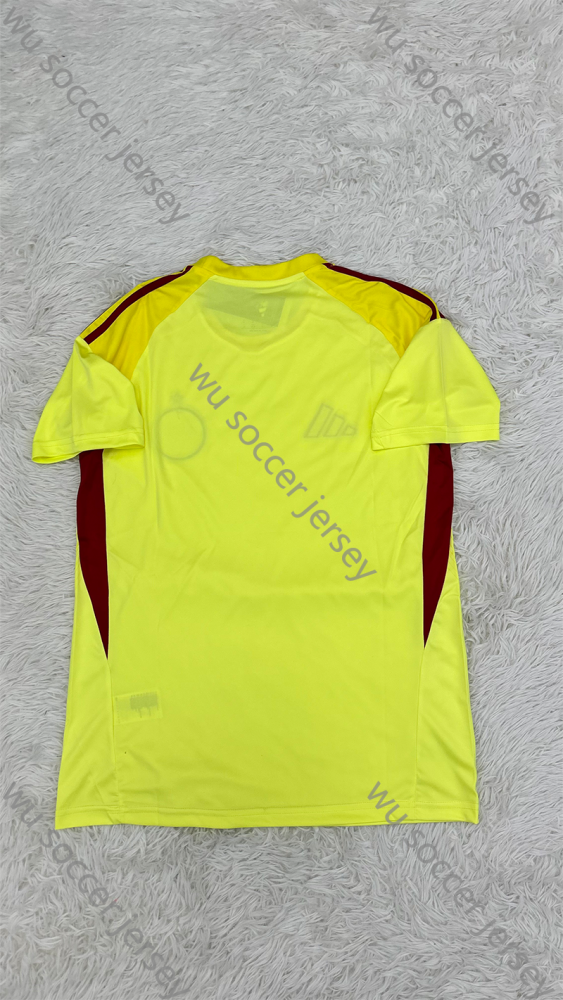 （S-4XL）1:1 Copy Top Quality 2025/2026 Celtic goalkeeper Football Jersey (Fan Edition)
