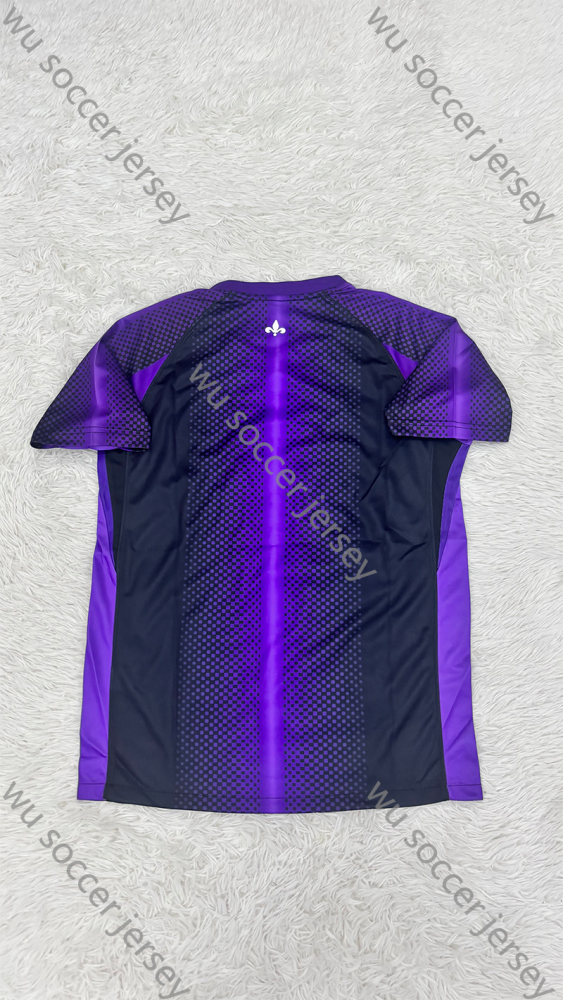 （S-4XL）1:1 Copy Top Quality 2025/2026 PSG Special Edition Football Jersey （ Fan Edition）