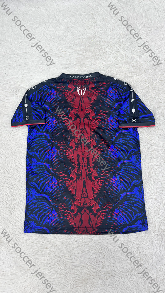 （S-4XL）1:1 Copy Top Quality 2025/2026 PSG Special Edition Football Jersey （ Fan Edition）