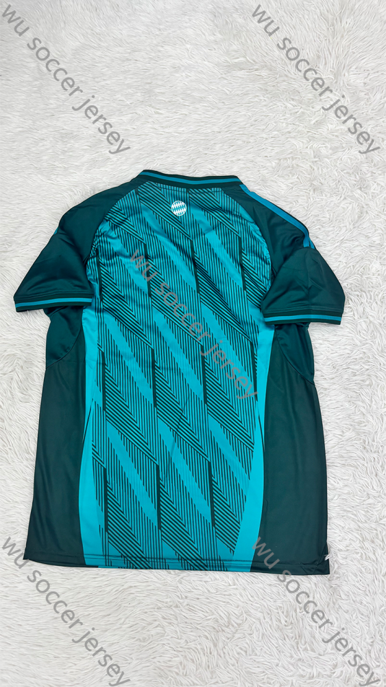 （S-4XL）1:1 Copy Top Quality 2025/2026 Bayern Munich Special Edition Football Jersey (Fan Edition)