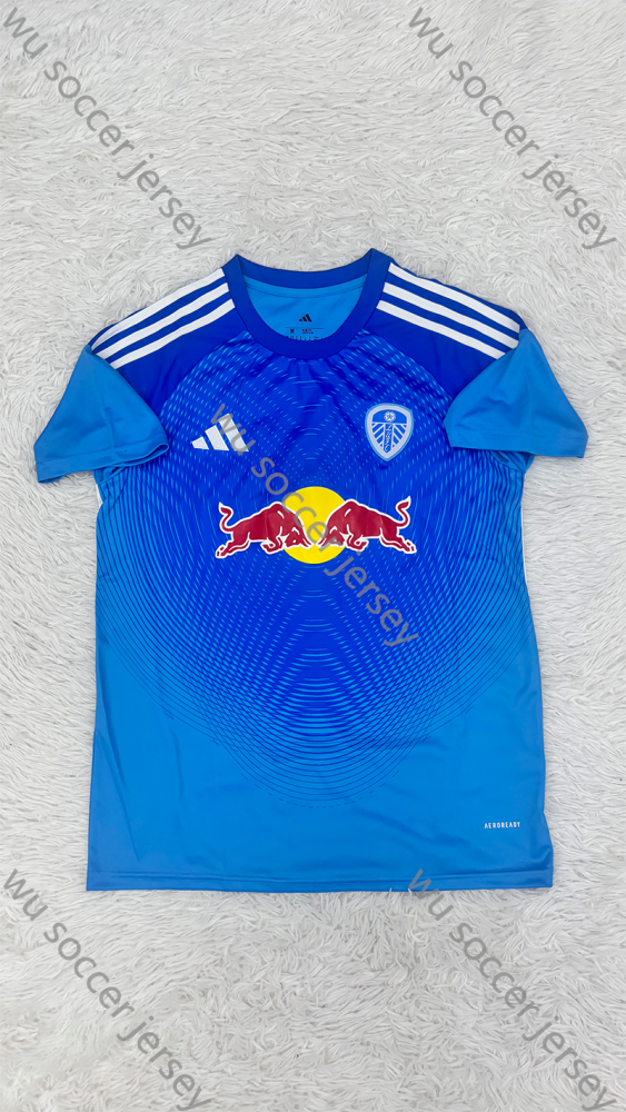 （S-2XL）1:1 Copy Top Quality 2025/2026 Leeds United goalkeeper Football Jersey （Fan Edition）