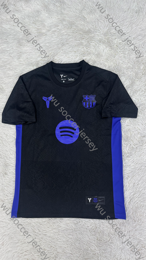 （S-4XL）1:1 Copy Top Quality 2025/2026 Barcelona Special Edition  Football Jersey （ Fan Edition）