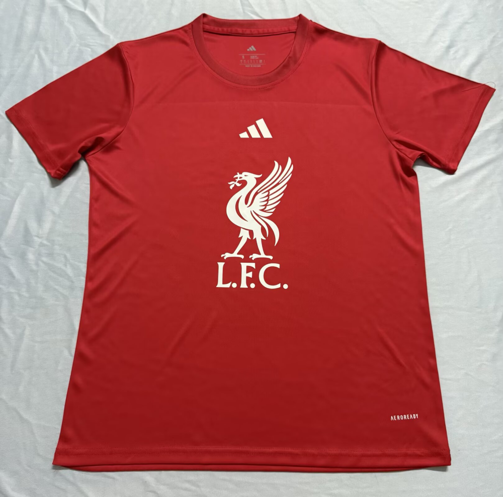 （S-2XL）1:1 Copy Top Quality 2025/2026 Liverpool Special Edition Football Jersey （Fan Edition）