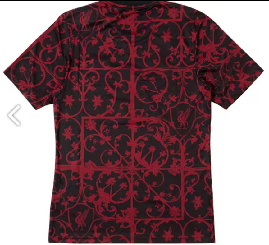 （S-4XL）1:1 Copy Top Quality 2025/2026 Liverpool Special Edition Football Jersey （Fan Edition）