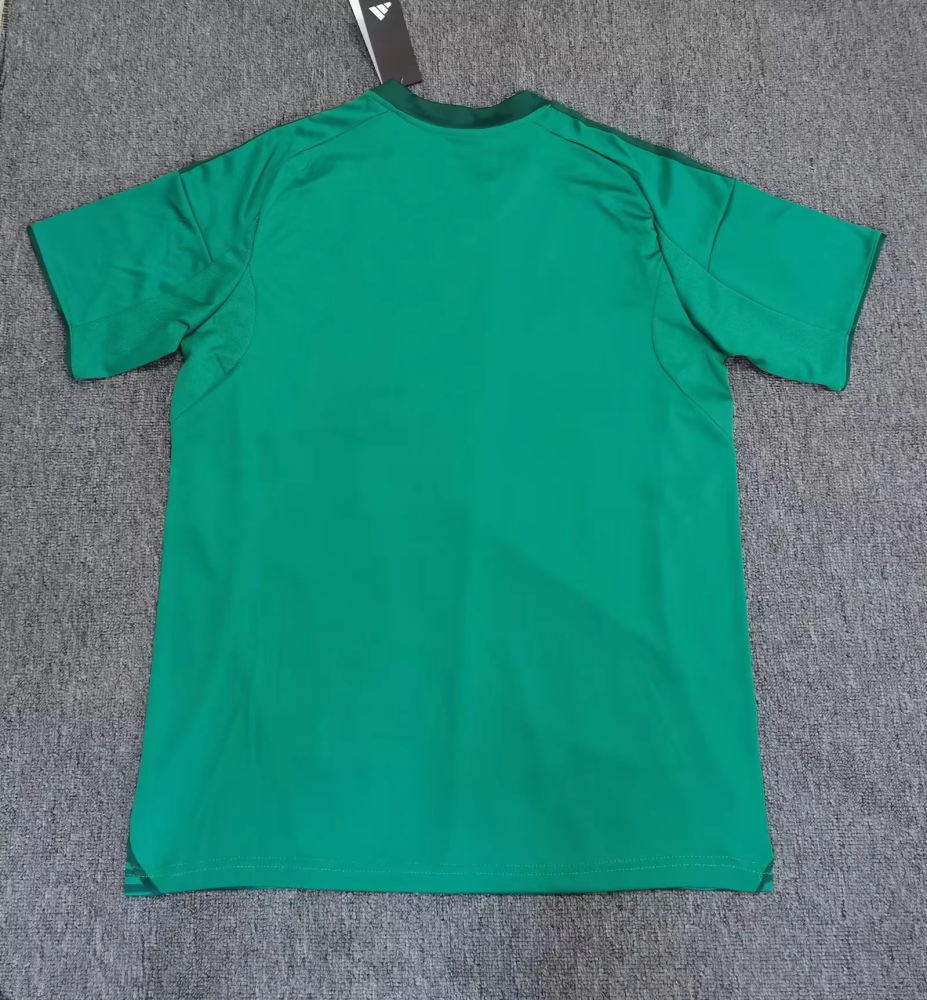 （S-2XL）1:1 Copy Top Quality 2025/2026 Al-Ahli SFC Away Football Jersey （ Fan Edition）