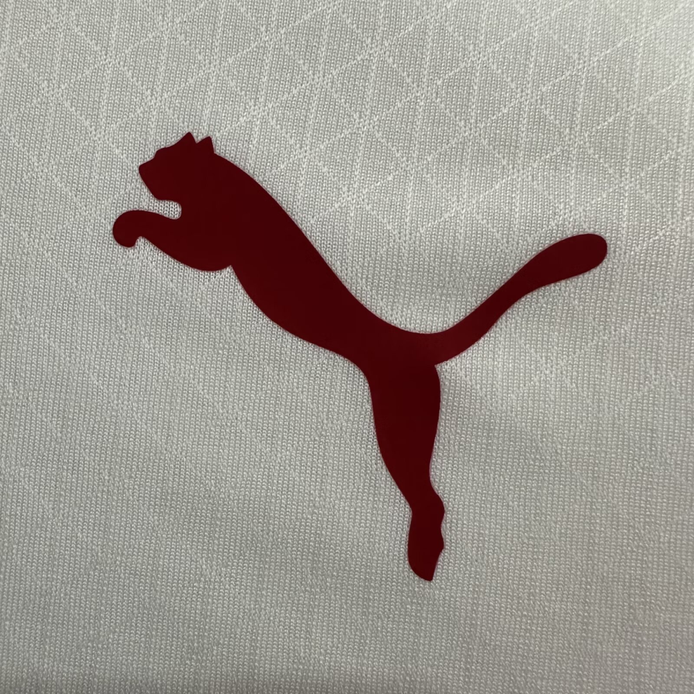 （S-4XL）1:1 Copy Top Quality 2025/2026 Galatasaray Away Football Jersey （ Player Edition）