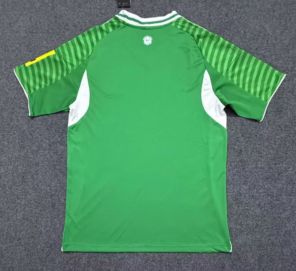 （S-4XL）1:1 Copy Top Quality 2025/2026 Newcastle United Away football jersey （ Fan Edition）