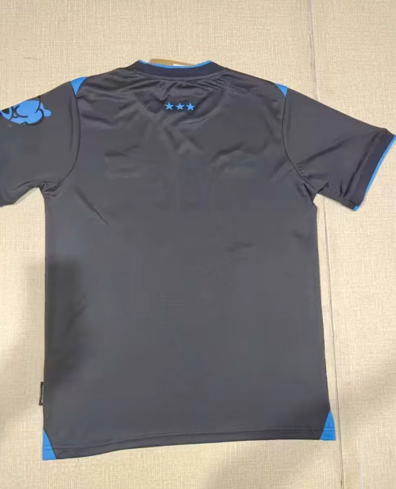（S-4XL）1:1 Copy Top Quality 2025/2026 Ipswich Town Third Football Jersey （Fan Edition）