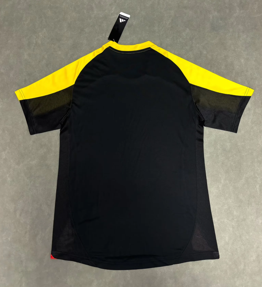 （S-2XL）1:1 Copy Top Quality 2025/2026 Atlético Mineiro Special Edition Football Jersey （ Fan Edition）