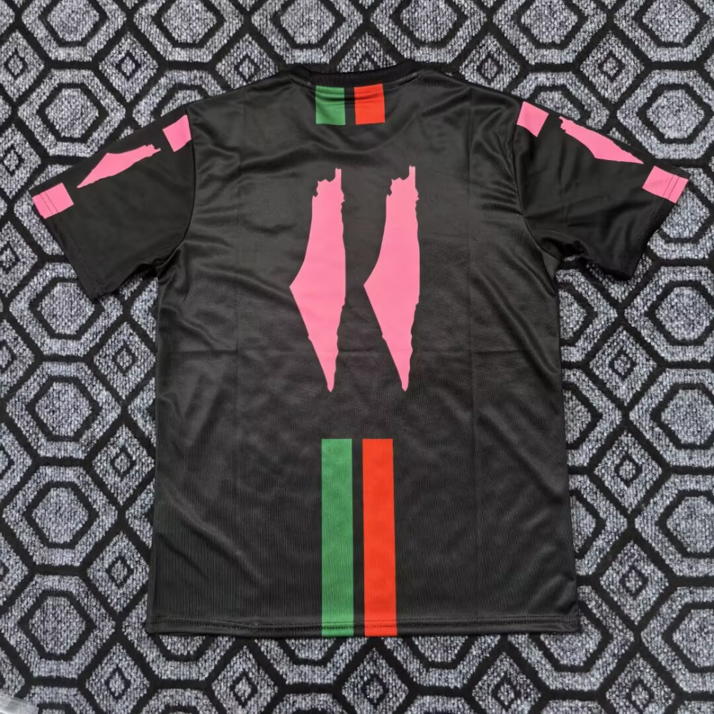（S-2XL）1:1 Copy Top Quality 2026 Palestine  Special Edition Football Jersey （ Fan Edition）