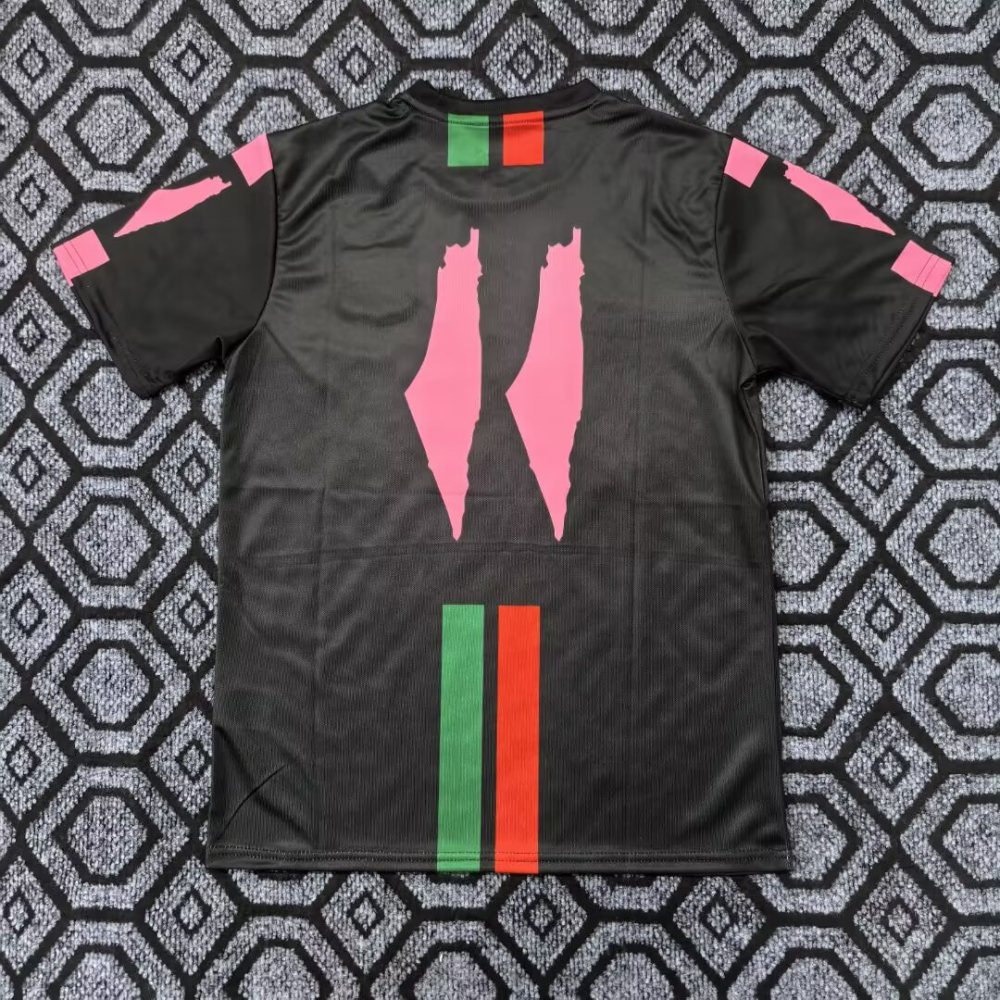（S-2XL）1:1 Copy Top Quality 2026 Palestine  Special Edition Football Jersey （ Fan Edition）