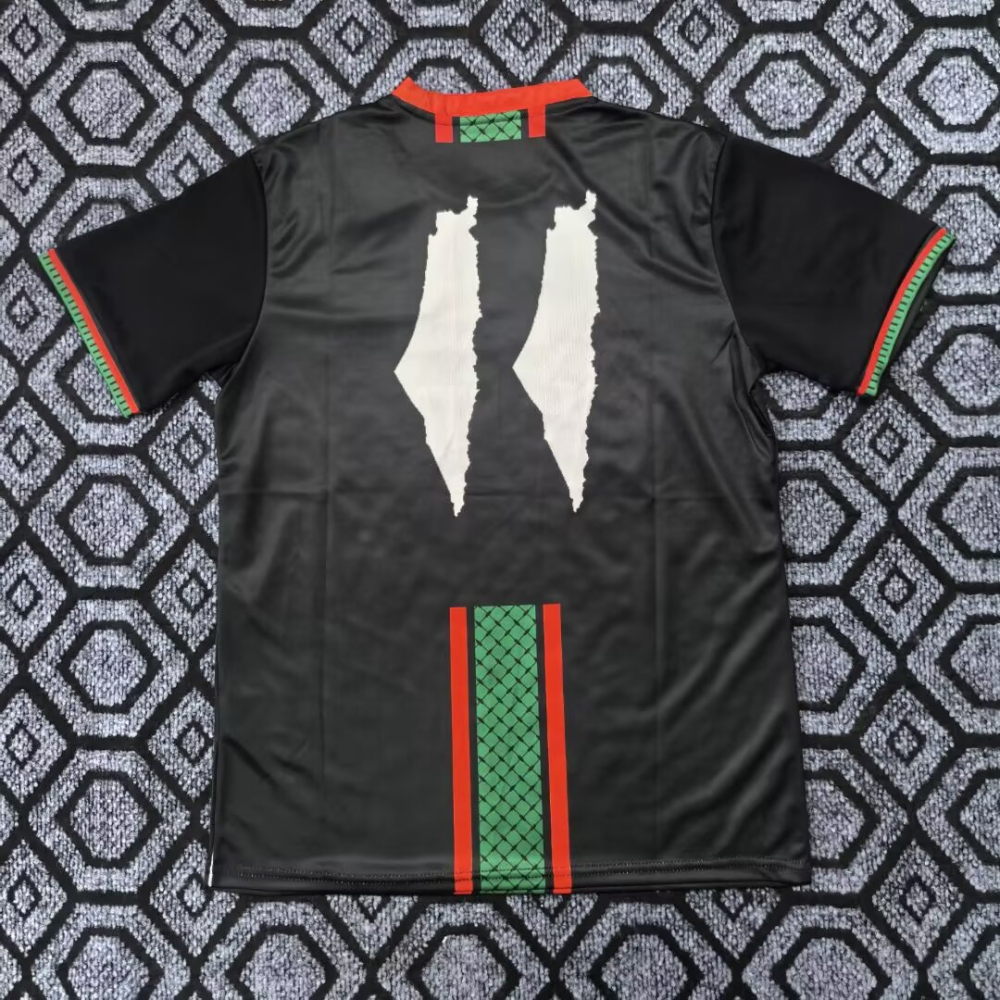 （S-2XL）1:1 Copy Top Quality 2026 Palestine  Special Edition Football Jersey （ Fan Edition）