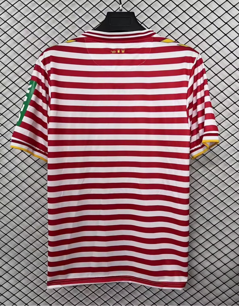 （S-4XL）1:1 Copy Top Quality 2025/2026 FC KöIn Special Edition  Football Jersey (Fan Edition)