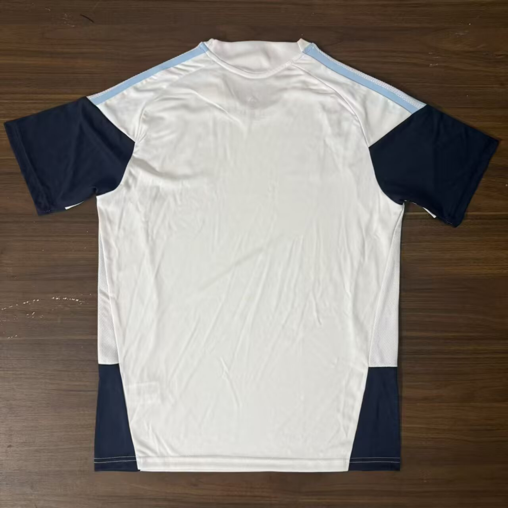 （S-4XL）1:1 Copy Top Quality 2026 Argentina training uniform Football Jersey （ Fan Edition）