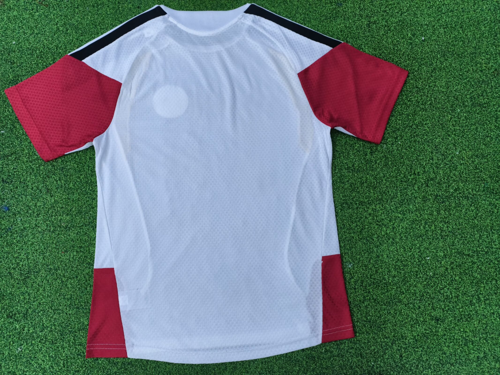 （S-4XL）1:1 Copy Top Quality 2025/2026 Germany Special Edition Football Jersey （Fan Edition）
