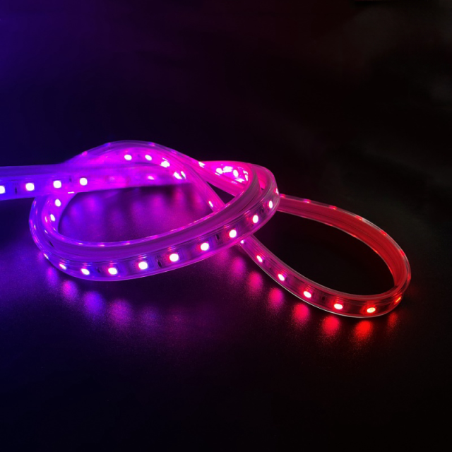 220V-5050-Z1-60D-10MM-RGB