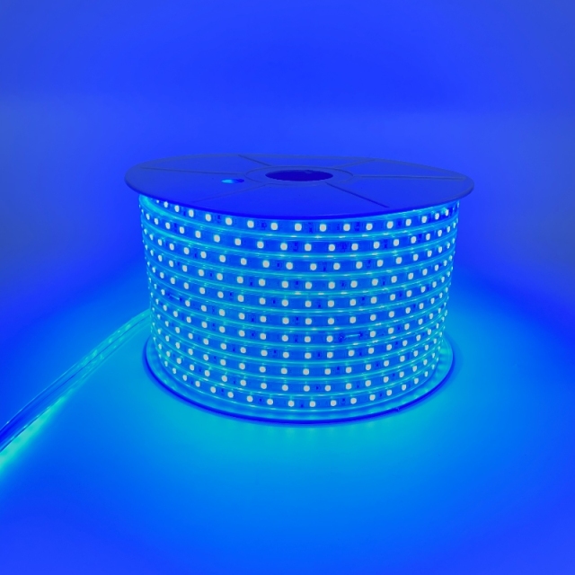 220V-5050-Z1-60D-10MM-RGB