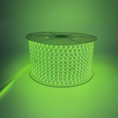 220V-5050-Z1-60D-10MM-RGB