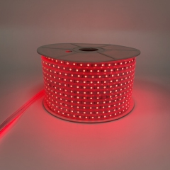 220V-5050-Z1-60D-10MM-RGB