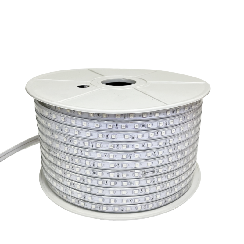 220V-5050-Z1-60D-10MM-RGB