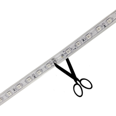 220V-5050-Z1-60D-10MM-RGB