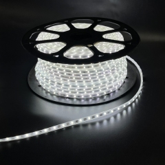 220V-2835-X1-52D-5MM