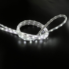 220V-2835-X1-52D-5MM