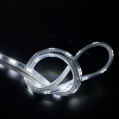 220V-2835-X1-120D-8MM