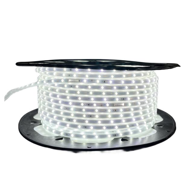 220V-2835-X1-52D-5MM