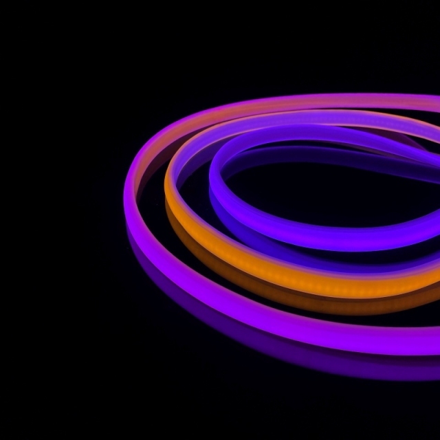 COB-220V-288D-10*5MM-Colorful