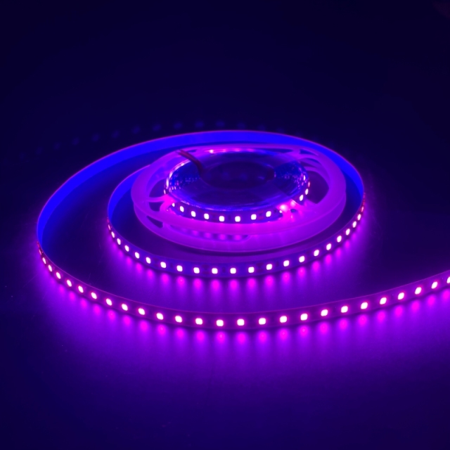 12V-2835-120D-8MM-Colorful-5M