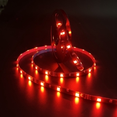 5V-5050-30D-10MM-RGB-2M