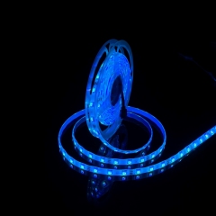 12V-5050-54D-10MM-RGB-2