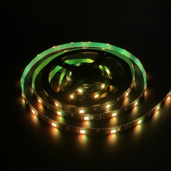 5V-5050-30D-10MM-RGB-3M