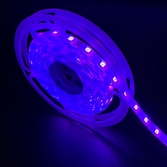 12V-5050-54D-10MM-RGB-4