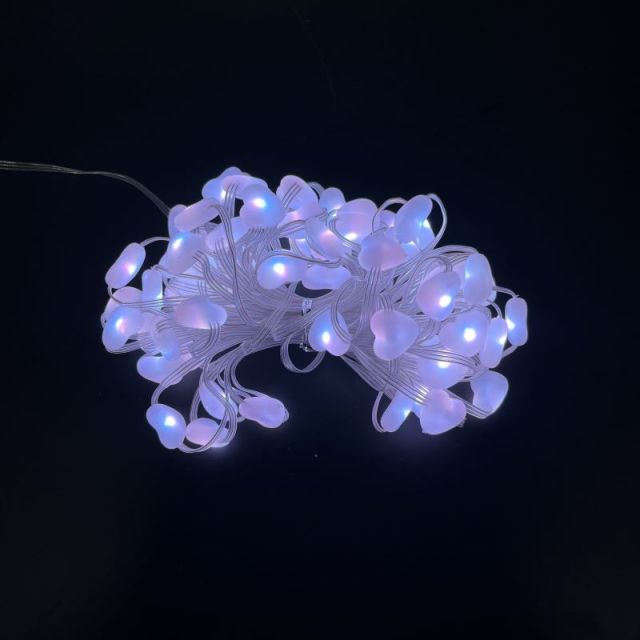 DC-AX-MS-50D-5V-MG-HZ