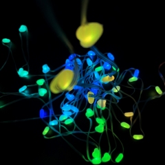 DC-AX-MS-50D-5V-MG-HZ